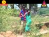 { Aamba Dayre Aamba } Nagpuri Song 2023 | Sadri