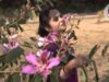 Uid Ja Re Bhanwra { Urmila Mahanto } Nagpuri Song