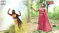 Purulia Song 2022 [ Modhur Bashi Bajai Ke ] Superhit