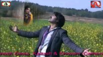 Kharadi Kar Guiya [ Sunil Bediya ] Dinesh Deva |