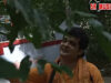 Baul Gaan 2022 [ Dayal Patit Payan ] Superhit {