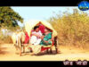 Chod Jodi Pardesh [ Sunaina Kachhap ] Nagpuri Song 2023