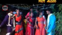 Ae Re Mor Selem Guiya | Adhunik nagpuri song |