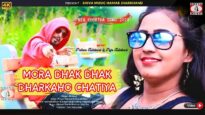 MORA DHAK DHAK DHARKAHO CHATIYA | BIBHASH | PRITAM ADHIKARI