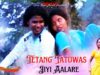 Tetang Tatuwas Jiyi Aalare | New Santali Video Song 2024