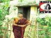 Odia Song 2023 | Jauchi | Superhit Song { Sweta