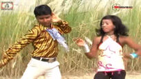 Purulia Song 2022 [ Aamar Kochi Gache ] Superhit {