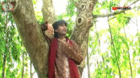 Purulia Song 2022 [ Phool Keno Futechile ] Superhit {