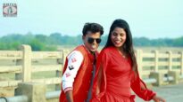 Khortha Song 2023 | Tora Sahar Gummai Debo { Manoj