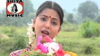 Odia Song 2023 | Maa Dakuchi | Superhit Song {