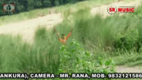 Baul Gaan 2022 [ Dekha Dili Na ] Superhit {