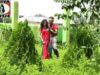 Sambalpuri Song 2023 | Mango Juice Re | Superhit Song