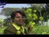 Lailun kar sari | Mor Barati | Azad, Baby, Ignesh|