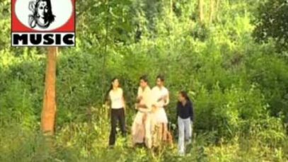 Odia Song 2023 | Phoola Aachhi | Superhit Song {