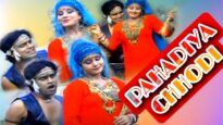 Pahadiya Chhodi | पाहाड़िया छोड़ी [ Nagpuri Song 2022 ]