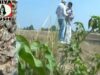 Sambalpuri Song 2023 | Juge Juge | Superhit Song {