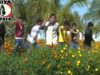 Sambalpuri Song 2023 | Dhokha Deuchho | Superhit Song {