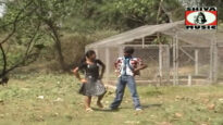 Purulia Song 2022 [ Hamar Dil Ke Raja ] Superhit