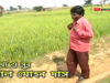 Baul Gaan 2022 [ Shilpi Hoyechhe ] Superhit { Manbhum