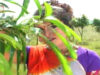 Purulia Song 2022 [ Koto Joton Korke Rakhe Chili ]