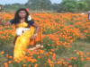 Jhumur Gaan 2022 [ Phooler Madhu Dibo Na ] Parboti