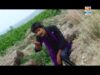 Tukur Tukur Dhekhela | New Nagpuri Song 2023 | Sadri