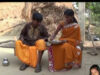 Purulia Song 2022 [ Khabrah Pitha ] Superhit { Manbhum