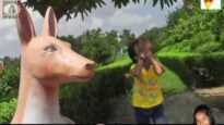 Purulia Song 2022 [ Aami Tor Laila ] Superhit {