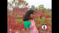 Santali Song 2023 | Bir Buru Ladam Rema { Kalpana