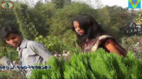 Purulia Song 2022 [ Hamar Mon Bare Nai ] Superhit