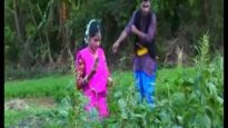 तोई लाल साग रे | New Nagpuri Song 2023 |