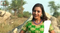 Purulia Song 2022 [ Dibi Ki Nai Re ] Superhit