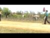 Jo Hukum Mere Aaka | New Kurukh Comedy 2023 |