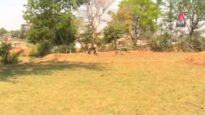 Fight Scenes | New Kurukh Comedy 2023 | Oraon Comedy