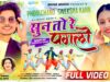 🥰 सुन तो रे पगली ❤️ Singer – Pankaj Mahli