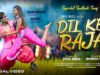 ❤️‍🔥DIL KA RAJA❤️‍🔥 Santali Video 2024 | Aman Murmu &