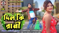 💘 Dil Ki Rani 🥰 দিল কি রানী || New
