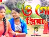 O Go Priya 💔 {ও গো প্রিয়া} 😭 New Purulia