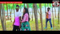 Purulia Song 2023 [ তুই হামকে পেদাঁয় ভুলালি ] Pintu