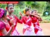 New Purulia Folk Song 2023 [ Ogo Hamar Valobasa ]