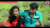 New Purulia Folk Song 2023 [ বনধু হামার লাল পলাশ