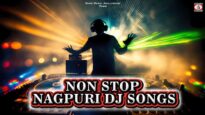 Non Stop Dj Songs 💃😍 Dj Remix Songs || Nagpuri