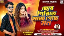 তোর পিরিতে মজে গেছে মন || Sisupal Sahis || New