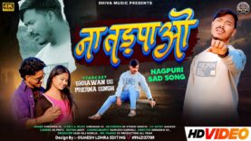 NA TADPAO 🖤 NEW LOVE SAD SONG | SHRAWAN SS