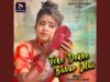 Toke Dekhe Babur Mai !! New Purulia Video Song 2026 !! Krishna Pada Singh !! Shiva Music