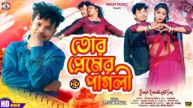 তোর প্রেমের পাগলী 🤩 Tor Premer Pagli || New Purulia