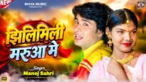 झिलिमिली मरुआ मे // Jhilimili Maryua Me // Singer –