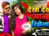 देखी देखी मान रिझेला || Dekhi Dekhi Maan Rijhela ||