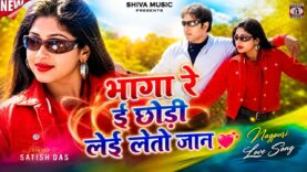 भागा रे ई छोड़ी लेई लेतो जान 💖 New Nagpuri