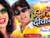 दिल मोर दीवाना 💕 Dil Mor Diwana || Singer –